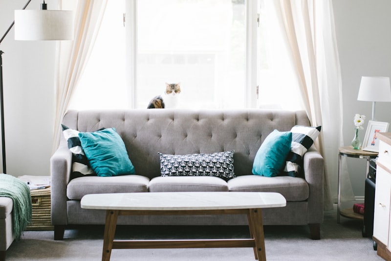 Living room sofa deep clean